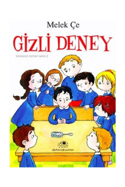 Gizli Deney